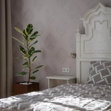 Apartment Downtown Elegance By Great Market Hall - 2 Bedrooms, 1 Living Room, 2 Bathrooms, Free Airconditioner, Free Italien Coffee Budapest